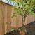 Quality FENCE Installation AND Repair--- LOCAL FENCE CO. 2 thumbnail