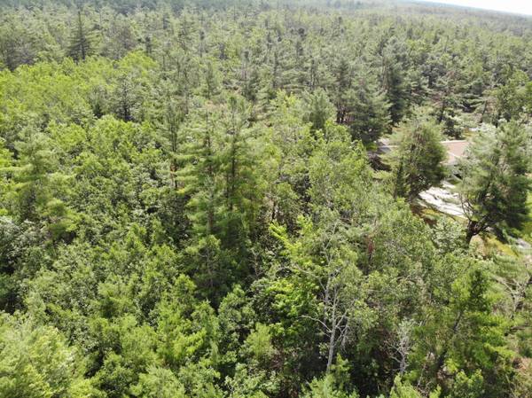 $72,999 / 43560ft2 - 10 Wooded acres backing up to hundreds of acres of state land! (Cheboygan)64037895277699122