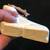 Elk carved from Bone 9 thumbnail