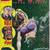 Comic Book Collection 6 thumbnail