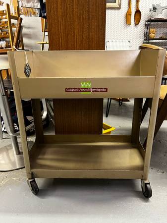 Vintage Rolling Library Bookshelf / Cart 1