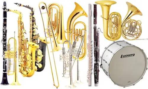 Seeking a small Marching Band or Group of Musicians to Lead a Parade 1