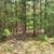 Sugar Camp Chain of Lakes Access. Wooded lot 2 thumbnail