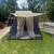 Tent 2 thumbnail