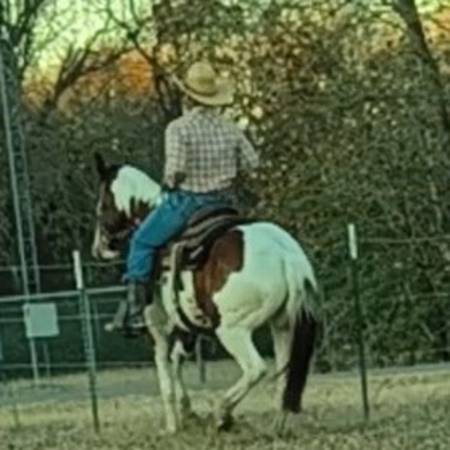 Horse Trainer 1