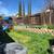 Local Lawncare Services 5 thumbnail