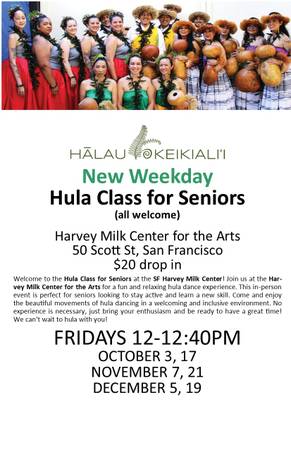 Clase de Hula o Viernes para Mayores (castro / upper market)63890025904385120