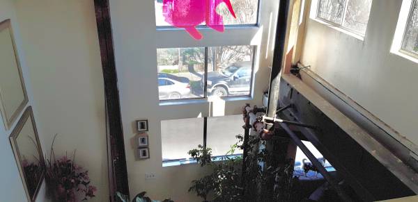 $1,425 / 1br - ✨YOUR COZY LOFT HAVEN - Modern, Central and just yours in Jingletown✨ (Oakland West)63664202995585123