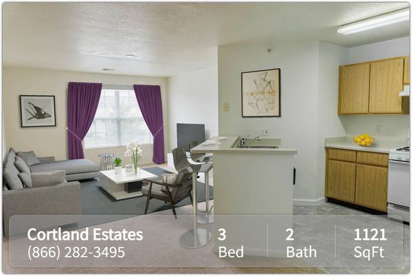 $1,491 / 3br - 1121ft2 - Just what you need! 1121 SqFt 3 Bed/2 Bath only minutes from campus (Cortland)63981968304643121