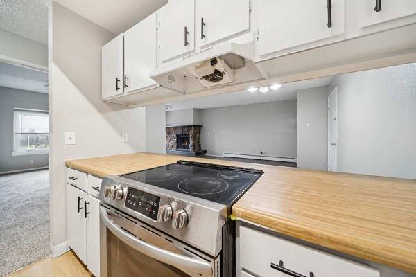 Range, Laundry Facilities, Fireplace in select units 1