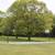 Vacant Duplex Lot in Waterfront Condo Community 14 thumbnail