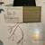 2021 SILVER proof KRUGERRAND 1 oz 8 thumbnail