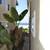 Gorgeous unit in beach front building 8 thumbnail