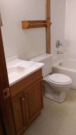 $850 / 300ft2 - Downstairs Studio (ONE ROOM) Apartment (Bristol, VT)63969738492418121