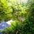 North seminole heights riverfront 9 thumbnail