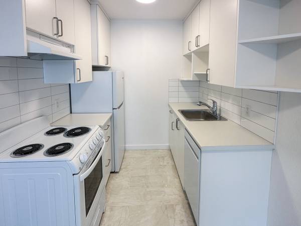 Freshly Renovated & Ideally Located | 1 Bedroom Suite on Cook St 4