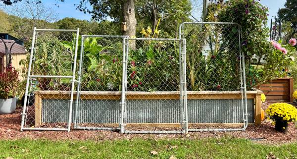 Chain link gates 1
