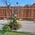 LANDSCAPING INT/EXT PAINTING MACHADO BROTHERS LLC 9 thumbnail