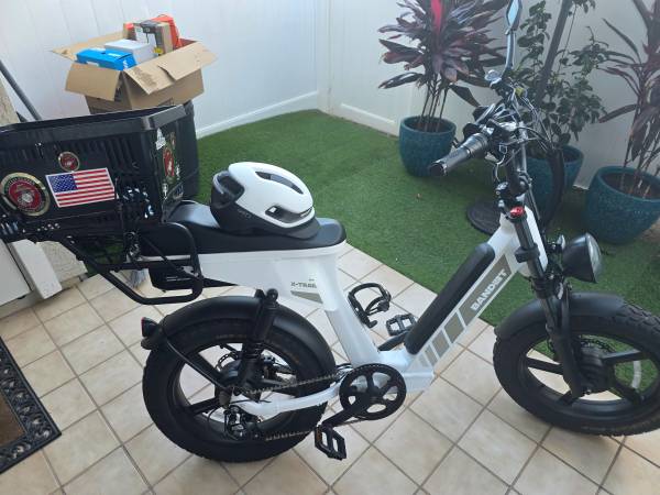 AWD EBIKE MATT WHITE 1