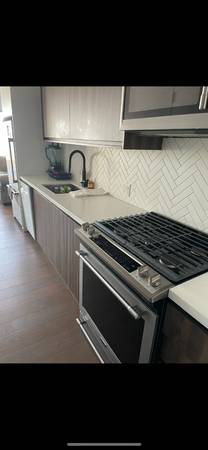 $2,600 / 1br - 500ft2 - Estudio con rincón de lujo frente al agua en Greenpoint, Brooklyn (Greenpoint)63854385517443122
