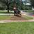 Tree service 19 thumbnail