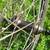 26" disk front wheel MTB with tire 4 thumbnail