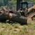 Eco-Friendly Land Clearing and Brush Cutting 8 thumbnail