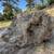 Large MOSS Rocks, Boulders- Landscaping, Waterfall, Property Divider 1 thumbnail