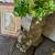 Stunning Monkey Planter and Wall Art 2 thumbnail