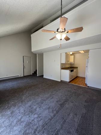 $1,430 / 1br - 675ft2 - Loft de 1 dormitorio poco común con techos abovedados, chimenea y armarios grandes (University Place/Tacoma)63786756265859120