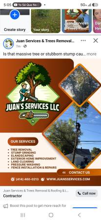 Tree Removal Services 1