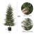 4ft Norfolk Pine tree 1 thumbnail