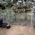 Chain link fence panels 2 thumbnail