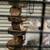 Cage 1 thumbnail