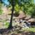 GENERAL PLAN DESIGNATION IS C36/VR15. SAN DIEGO LAND FRONTAGE 4 thumbnail