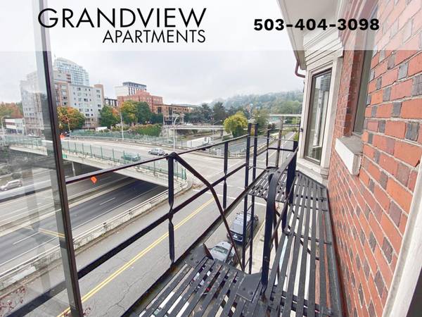 $1,099 / 1br - Views of Downtown & West Hills*, Cats Welcome + One Bedroom (Goose Hollow on 14th)63914740343939120