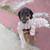Coonhound (DUKE) 1 thumbnail