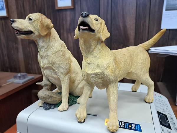 Yellow Labs Decoy Statues 1