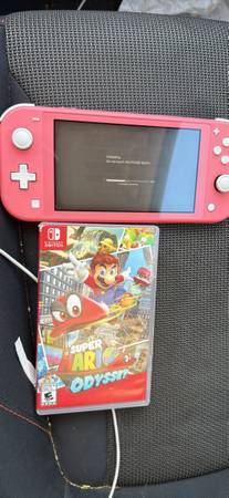 Switch lite with super mario odyssey 1