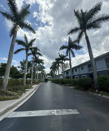 🌴HERNANDEZ TREE SERVICE&LANDSCAPING🍀 1