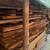 Pacific Yew Wood 1 thumbnail