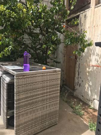 Habitación de $825 (más pequeña) con transporte, patio sólido para entrenamiento de fuerza (excelsior / outer mission)63834324131841121
