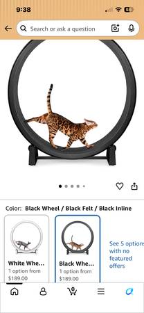 Cat wheel 1