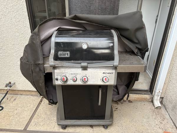 Weber grill 1