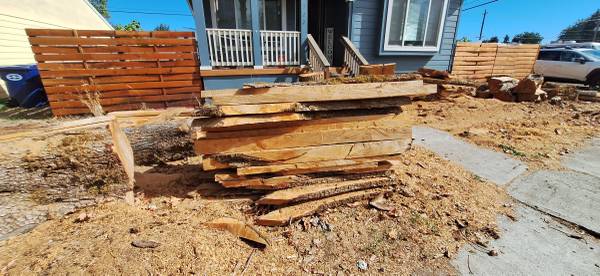Maple Wood and Slabs