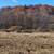 Equestrian Farm Could Be Bed & Breakfast - Just Reduced $600,000! 9 thumbnail