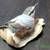 LENOX Fine Porcelain Red Breasted Nuthatch Bird Figurine Handcrafted 2 thumbnail