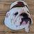 English bulldogs exotic 7 thumbnail