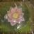 A Water-Lily Candles 1 thumbnail