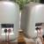 B & W LM-1 speakers 4 thumbnail